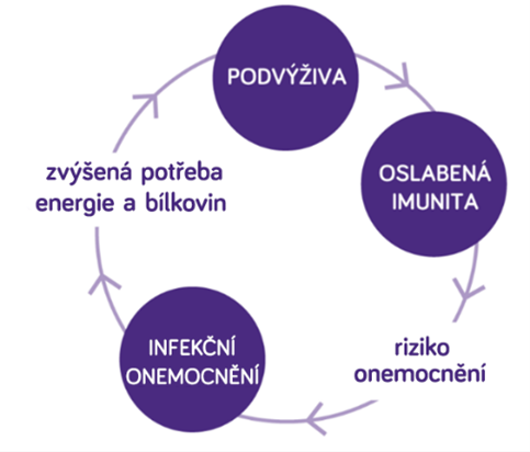 Začarovaný kruh podvýživy CZ